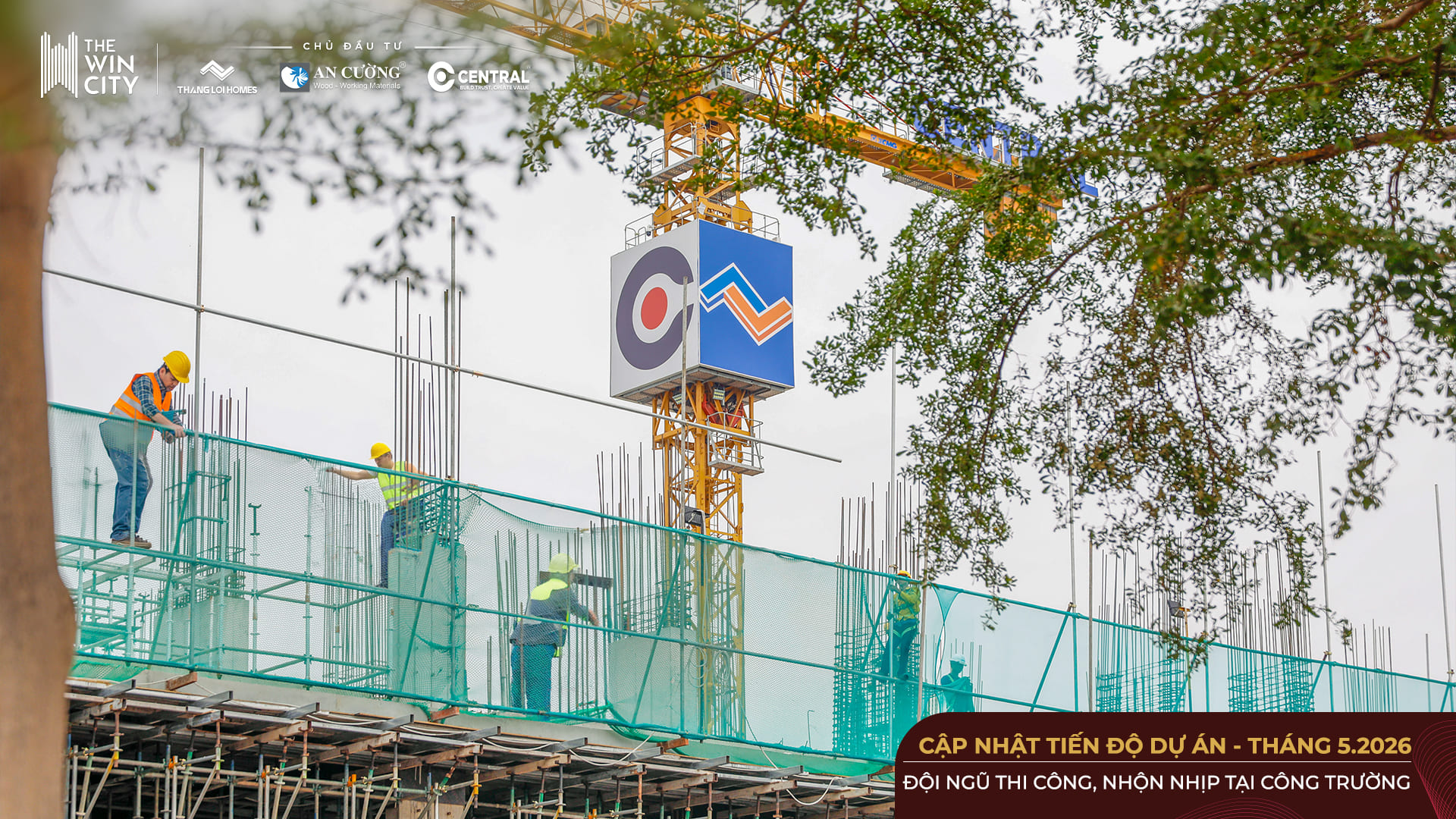 Bản vẽ tiến độ dự án The Win City 6